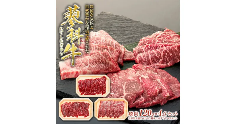 【ふるさと納税】 蓼科牛焼肉120g× 4パック | 国産 肉 牛肉 牛 お肉 焼肉 セット 食べ比べ モモ バラ ウデ BBQ バーベキュー お取り寄せ グルメ 蓼科牛 ふるさと 信州 長野県 立科町 蓼科