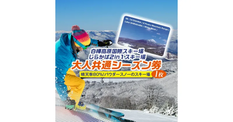 【ふるさと納税】 白樺高原国際スキー場・しらかば2in1スキー場大人共通シーズン券 | スキー場 リフト券 シーズン券 旅行 観光 立科町 白樺高原国際スキー場 しらかば2in1スキー場