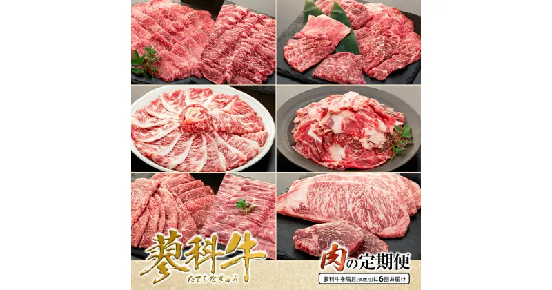 【ふるさと納税】 肉の定期便　蓼科牛を隔月（偶数月）に6回お届け | 国産 肉 牛肉 牛 焼肉 焼き肉 しゃぶしゃぶ すき焼き ステーキ ロース モモ ウデ バラ 切り落とし サーロイン ヒレ 定期便 BBQ バーベキュー お取り寄せ グルメ 蓼科牛 ふるさと 信州 長野県 立科町 蓼科