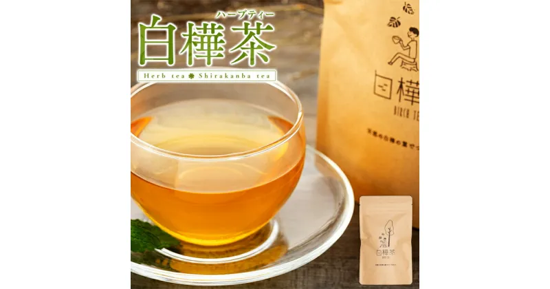 【ふるさと納税】 白樺茶 | お茶 ハーブティー 白樺 シラカバ さわやか やさしい甘さ 白樺高原 ふるさと 信州 長野県 立科町 蓼科