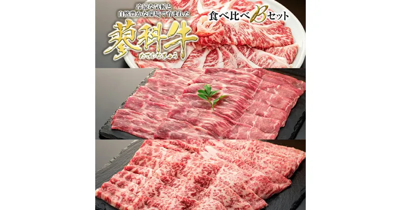 【ふるさと納税】 蓼科牛食べ比べBセット | 国産 肉 牛肉 牛 お肉 食べ比べ セット 焼肉 焼き肉 すき焼き しゃぶしゃぶ BBQ バーベキュー お取り寄せ グルメ 蓼科牛 ふるさと 信州 長野県 立科町 蓼科