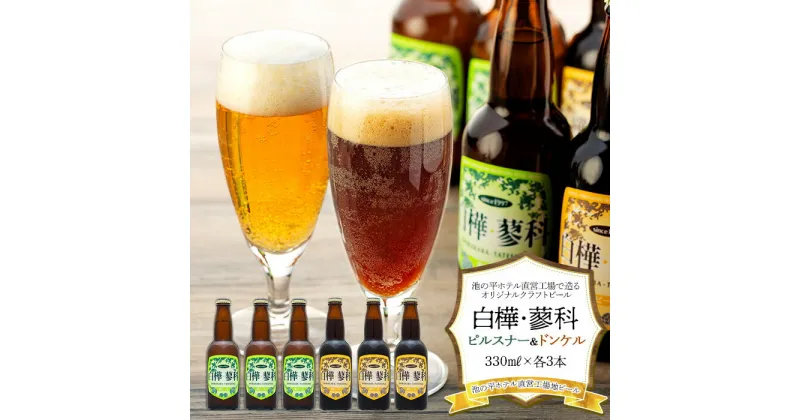 【ふるさと納税】 池の平ホテル直営工場地ビール 白樺・蓼科ピルスナー3本＆白樺・蓼科ドンケル3本 | クラフトビール 地ビール ご当地ビール ピルスナー ドンケル ご当地 瓶 セット BBQ バーベキュー お酒 アルコール お取り寄せ お土産 ふるさと 信州 長野県 立科町 蓼科