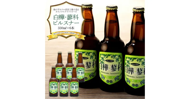 【ふるさと納税】 池の平ホテル直営工場地ビール 白樺・蓼科ピルスナー6本 | クラフトビール 地ビール ご当地ビール ピルスナー すっきり ポピュラー ご当地 瓶 セット BBQ バーベキュー お酒 アルコール 飲料 お取り寄せ お土産 ふるさと 信州 長野県 立科町 蓼科