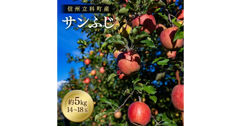 【ふるさと納税】 サンふじ（約5kg、優14～18玉） | 果物 フルーツ りんご サンふじ 信州 立科町