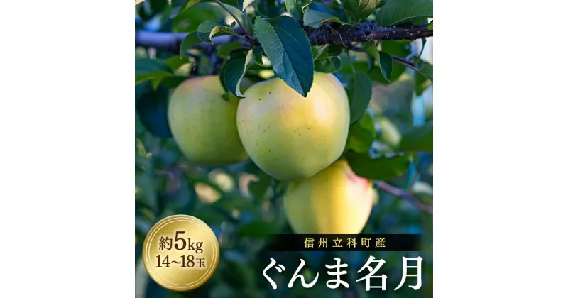 【ふるさと納税】ぐんま名月（約5kg、優14～18玉）| 果物 フルーツ りんご ぐんま名月 信州 立科町