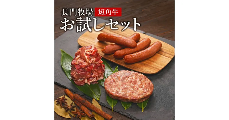 【ふるさと納税】長門牧場 短角牛 お試しセット　【 お肉 牛肉 希少 和牛 放牧 短角牛 赤身 旨み 切り落とし 国産 詰合せ 】