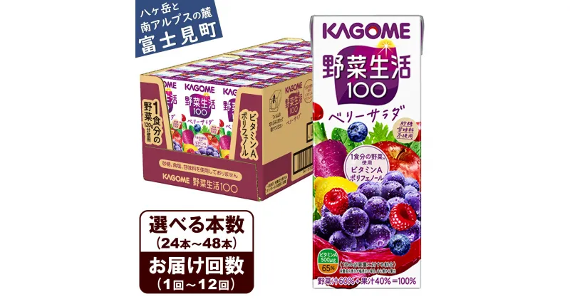 【ふるさと納税】【選べる本数 回数】 カゴメ 野菜生活100 ベリーサラダ 200ml 本数24本～48本 定期便 2ヶ月～12ヶ月 計24～576本 ジュース 野菜 果実ミックスジュース 果汁飲料 紙パック 砂糖不使用 1食分の野菜 鉄分 ポリフェノール ビタミンA 飲料類 ドリンク 野菜