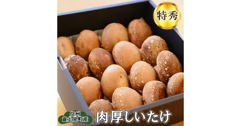 【ふるさと納税】【特秀】純国産　肉厚しいたけ　【野菜・きのこ・しいたけ・椎茸・シイタケ・肉厚】