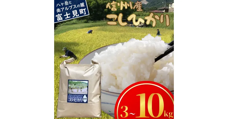 【ふるさと納税】長野県富士見町落合河路塚平産 じゅんかん育ちのコシヒカリ 3kg～10kg 令和6年度産 お米 ライス 白米 精米 銘柄米 ブランド米 ご飯 炭水化物 お弁当 おにぎり 直送 ハゼかけ 天日干し 減農薬 減化学肥料