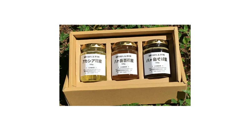 【ふるさと納税】はちみつ 160g×3本セット　蜂蜜・はちみつ・ハチミツ・加工品