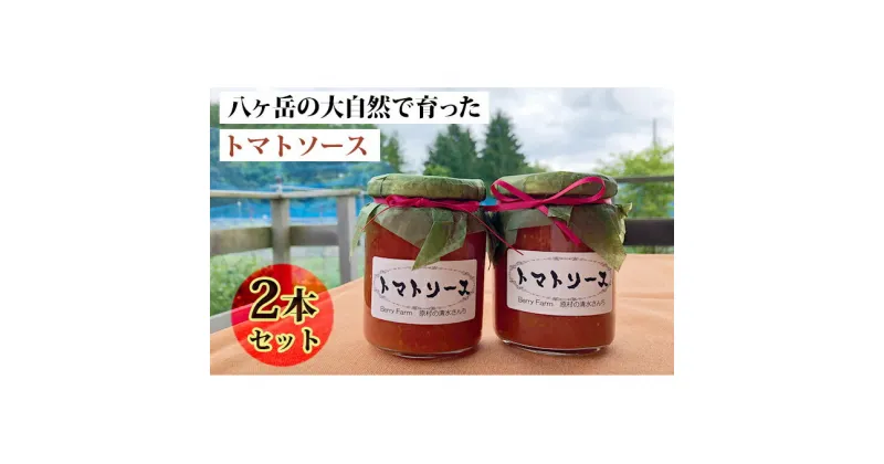 【ふるさと納税】八ヶ岳の大自然で育ったトマトソース2本セット　野菜加工品・ソース