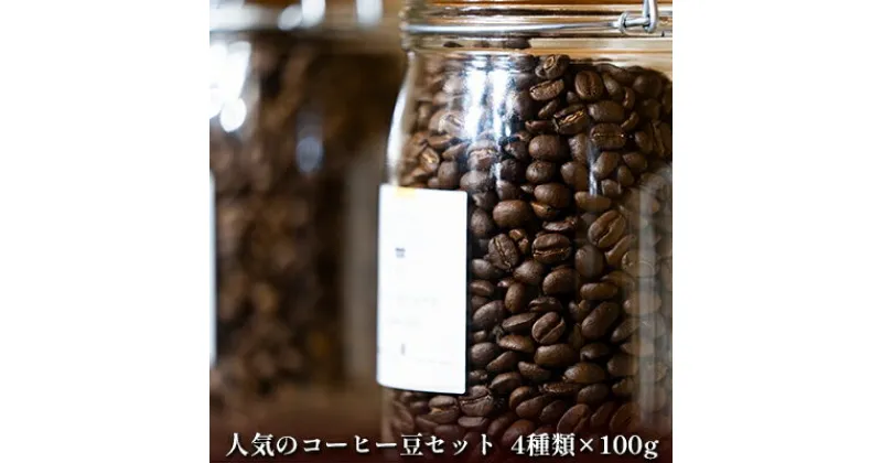 【ふるさと納税】自家焙煎珈琲屋 Rowan Coffee 人気のコーヒー4種セット　 コーヒー豆 詰め合わせ 飲み比べ ハイチ バプティスト 浅煎り ローワン ブレンド 中深煎り グアテマラ SHB ビター 深煎り