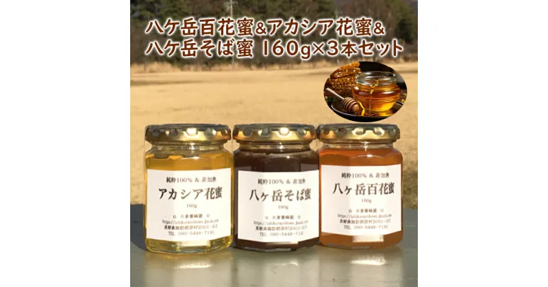 【ふるさと納税】八ケ岳百花蜜＆アカシア花蜜＆八ケ岳そば蜜160g3本セット　蜂蜜・はちみつ