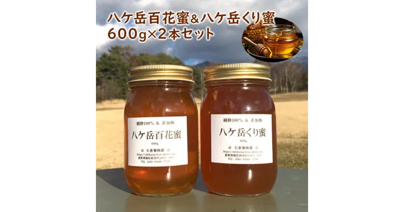 【ふるさと納税】八ヶ岳百花蜜＆八ケ岳くり蜜600g2本セット　蜂蜜・はちみつ