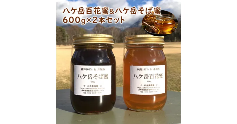 【ふるさと納税】八ヶ岳百花蜜＆八ケ岳そば蜜600g2本セット　蜂蜜・はちみつ