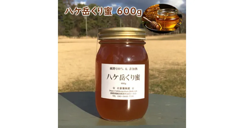 【ふるさと納税】八ケ岳くり蜜 600g　蜂蜜・はちみつ