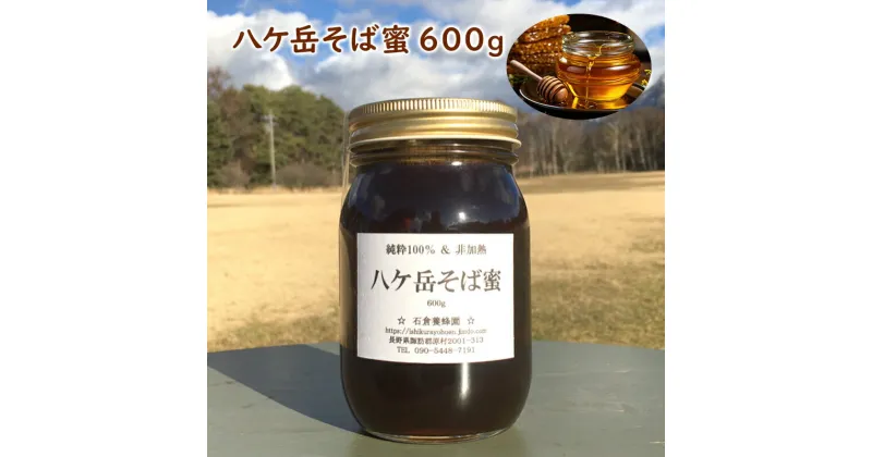 【ふるさと納税】八ケ岳そば蜜 600g　蜂蜜・はちみつ