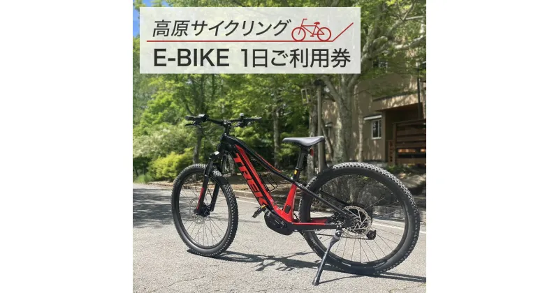 【ふるさと納税】高原サイクリング　E-bike1日ご利用券　 体験チケット チケット レンタルE-bike 一日利用券 観光スポット サイクリング 自転車レンタル レンタルサイクル 観光 旅行