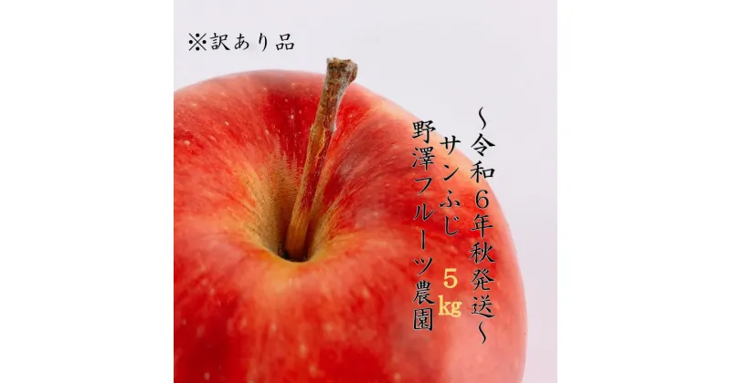 【ふるさと納税】395 ※訳あり りんご サンふじ5kg 11月中下旬以降発送【野澤フルーツ農園】