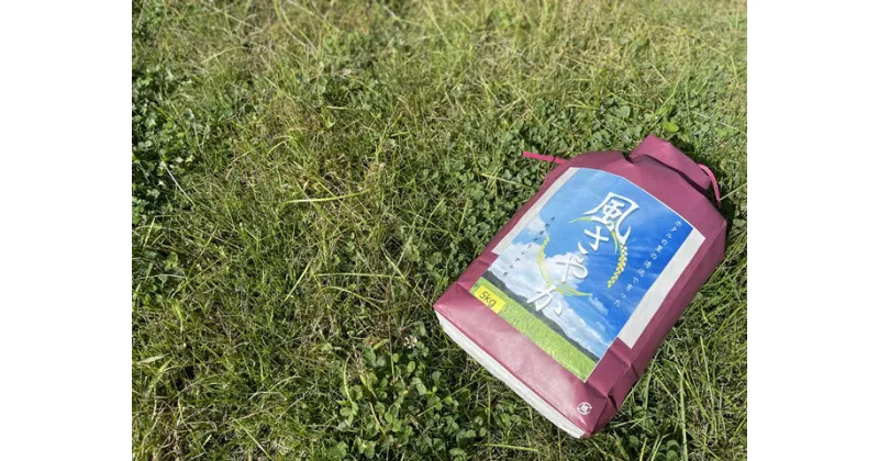 【ふるさと納税】 275【 県認証米 】風さやか 5kg　精米 したてで即発送。長野県 オリジナル米 令和6年新米