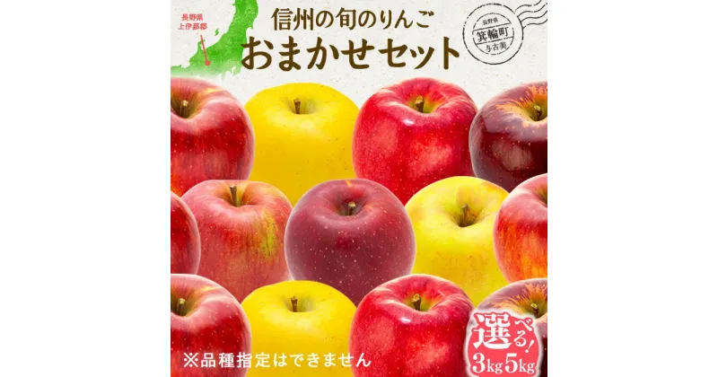 【ふるさと納税】先行予約 りんご 信州の旬のりんごおまかせ 選べる 3kg 5kg セット 2024年 令和6年度発送分 リンゴ 林檎 長野 フルーツ 果物 信州産 長野県産 特産 産地直送 家庭用 おすすめ　箕輪町　お届け：2024年8月上旬～2025年2月中旬ごろ