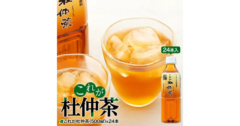 【ふるさと納税】これが杜仲茶 500ml 24本 ペットボトル 杜仲茶 お茶 茶 健康 ノンカフェイン 化学合成農薬不使用 飲料 ドリンク 飲み物 清涼飲料水 信州 長野 長野県　箕輪町