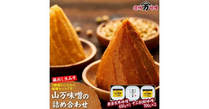 【ふるさと納税】味噌 セット 詰め合わせ 蔵出し 生みそ 山万最高級味噌 セット みそ ミソ 最高級 国産 長野県産 信州産 コク 発芽玄米 十二割糀 大人気 おすすめ　 箕輪町