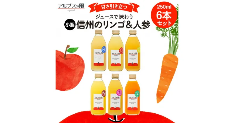 【ふるさと納税】ジュースで味わう 信州のリンゴ＆人参 ジュース 小瓶 6本セット 250ml 6本 セット 詰め合わせ りんごジュース 林檎ジュース ミックスジュース 信州りんご 信州りんごジュース りんご100 100％ジュース 果汁飲料 飲料 飲み物 長野 長野県 箕輪町