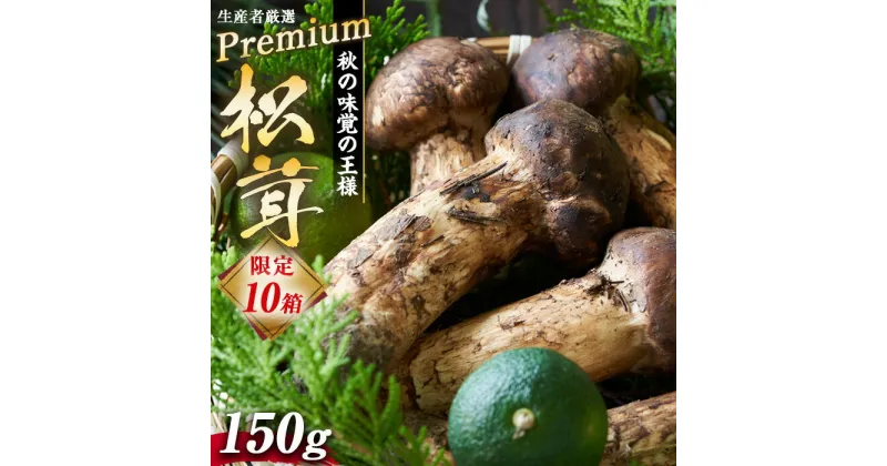 【ふるさと納税】数量限定 松茸 生産者厳選 プレミアムまつたけ 150g 2本程度 箕輪町産 秋の味覚 まつたけ マツタケ きのこ キノコ 旬の野菜 プレミアム 限定品 限定販売 信州 長野 長野県　箕輪町　お届け：2024年9月中旬～11月中旬頃