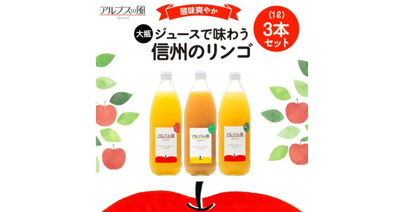 【ふるさと納税】ジュース リンゴジュース 大瓶3本 セット 詰め合わせ ジュースで味わう信州のリンゴ 爽やか酸味 リンゴ りんご 林檎 アップル アップルジュース 無添加 飲料 飲料類 甘い 豊饒な香り 酸味爽やか 濃厚 長野 長野県 信州 こだわり 果汁 希少