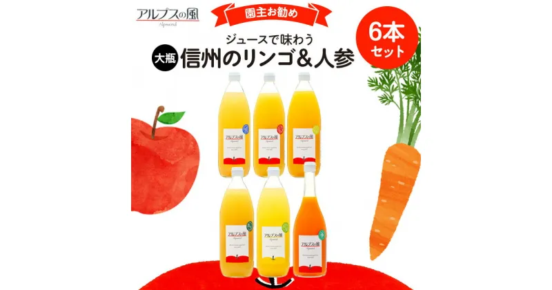 【ふるさと納税】ジュースで味わう 信州のリンゴ＆人参 ジュース 園主お勧め 大瓶 6本 セット 詰め合わせ りんごジュース 林檎ジュース ミックスジュース 信州りんご 信州りんごジュース りんご100 100％ジュース 果汁飲料 飲料 飲み物 長野 長野県 箕輪町