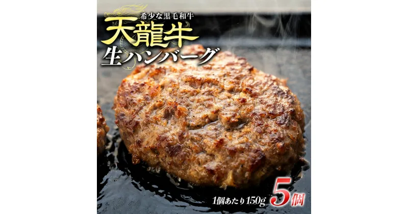 【ふるさと納税】【希少な黒毛和牛】天龍牛生ハンバーグ150g×5個 ハンバーグ 天龍牛 黒毛和牛 長野県産 信州産 お肉 国産 希少　 長野県 箕輪町