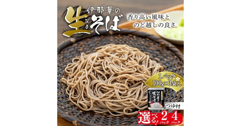 【ふるさと納税】そば 生そば 選べる 2パック 4パック 100g 3袋 JA上伊那 伊那華の生そば めんつゆ付 蕎麦 半生そば 信州上伊那産そば粉 信濃一号 信濃夏そば 保存料不使用 香り高い風味 のど越しの良さ こだわりのつゆ 風味豊か 信州そば 和食 日本食 麺 麺類 食品