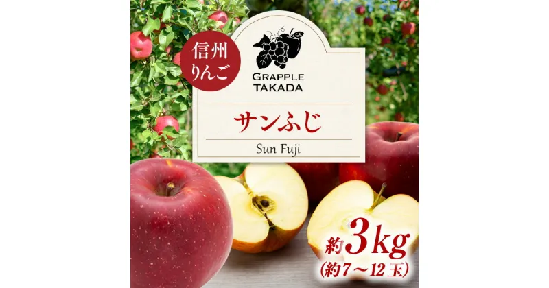 【ふるさと納税】信州りんご サンふじ3kg ※オンライン決済限定 りんご リンゴ 林檎 長野 フルーツ 果物 信州産 長野県産 特産 産地直送 おすすめ 　 長野県 箕輪町 　お届け：2024年11月中旬～12月上旬