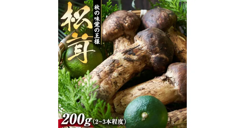 【ふるさと納税】松茸 200g 2～3本程度 箕輪町産 秋の味覚 まつたけ マツタケ きのこ キノコ 旬の野菜 信州 長野 長野県　箕輪町　お届け：2024年9月中旬～11月中旬頃