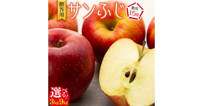 【ふるさと納税】先行予約 贈答用 りんご サンふじ 選べる 3kg 9kg 2024年 令和6年度発送分 リンゴ 林檎 長野 フルーツ 果物 信州産 長野県産 特産 産地直送 おすすめ　デザート 食後 糖度15度以上 甘味 強い 濃厚 箕輪町　お届け：2024年11月中旬～12月下旬