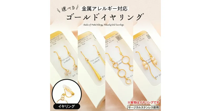 【ふるさと納税】選べる金属アレルギー対応ゴールド　イヤリング　 アクセサリー 装飾品 小物 ファッションア ファッション小物 アイテム おしゃれ シンプル