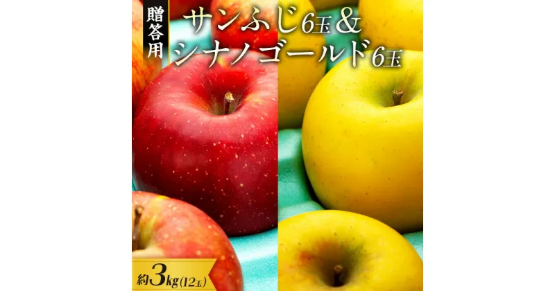 【ふるさと納税】【贈答用】りんご 長野 サンふじ6玉&シナノゴールド6玉　 約3kg （12玉）　 箕輪町 　お届け：2024年11月中旬～12月下旬