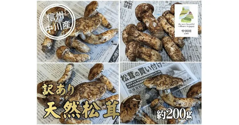 【ふるさと納税】中川村の秋の味覚　松茸（訳あり）約200g【決済確認後翌々営業日までに発送予定】[数量限定 産地直送 天然 松茸 訳あり]