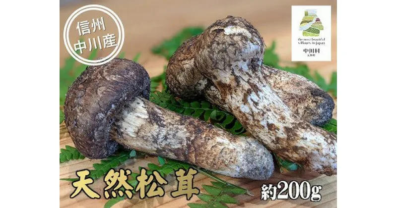 【ふるさと納税】中川村の秋の味覚　松茸　約200g【決済確認後翌々営業日までに発送予定】[数量限定 産地直送 天然 松茸 訳あり]