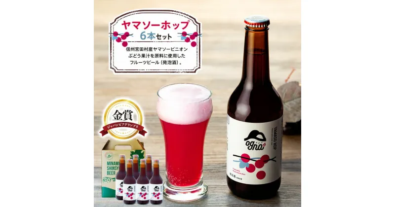 【ふるさと納税】南信州地ビール『ヤマソーホップ』6本セット