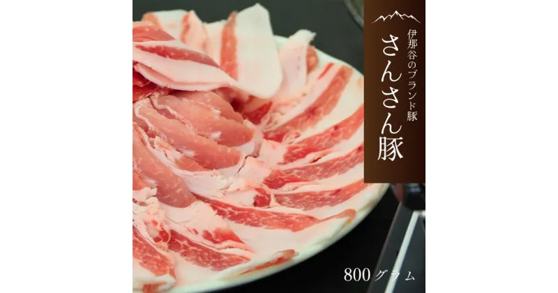 【ふるさと納税】さんさん豚ロースしゃぶしゃぶセット //(400g×2パック入)／長野県産豚肉 南信州 ポーク ロース しゃぶしゃぶ バークシャー種 安全 安心 冷凍 SF01