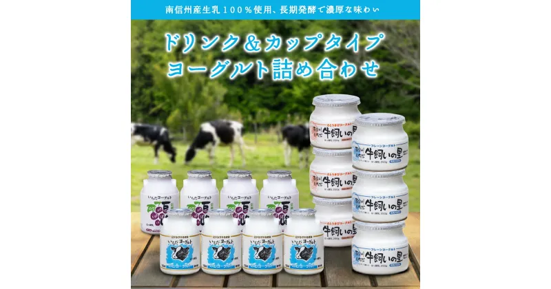 【ふるさと納税】いちだヨーグルト　飲むも食べるも詰め合わせセット【配送不可地域：離島】