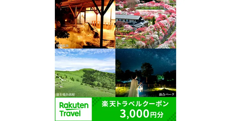 【ふるさと納税】長野県阿智村の対象施設で使える楽天トラベルクーポン 寄付額10,000円