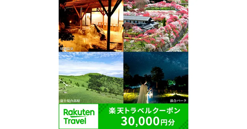 【ふるさと納税】長野県阿智村の対象施設で使える楽天トラベルクーポン 寄付額100,000円