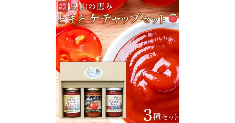 【ふるさと納税】里山の恵みとまとケチャップセット ｜ 野菜 tomato トマト やさい ケチャップ 調味料 料理 オムライス チキンライス 煮物