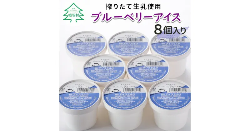 【ふるさと納税】田舎生まれの素朴な優しい味 ブルーベリーアイス 8個入り アイスクリーム 5000円 5,000円 5千円