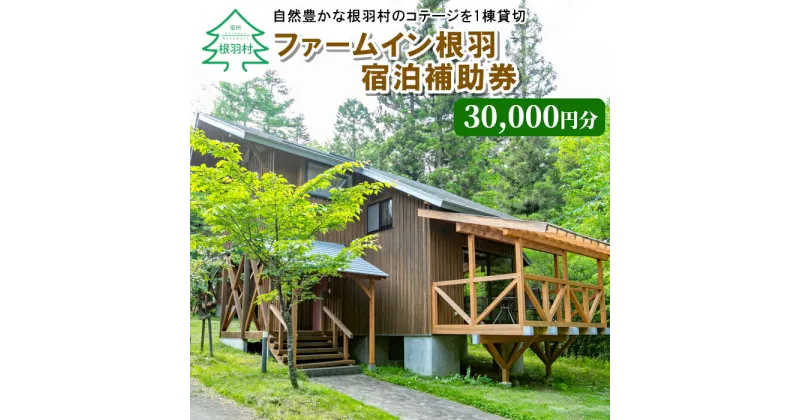 【ふるさと納税】一棟貸切！ファームイン根羽 宿泊補助券 (30,000円分) コテージ 旅行 宿泊 100,000円 100000円 十万円