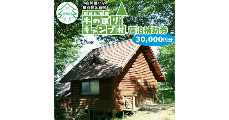 【ふるさと納税】茶臼山高原！アクティビティもたくさん！木のぼりキャンプ村 宿泊補助券 (30,000円分) キャンプ場 旅行 キャンプ 宿泊 100,000円 100000円 十万円