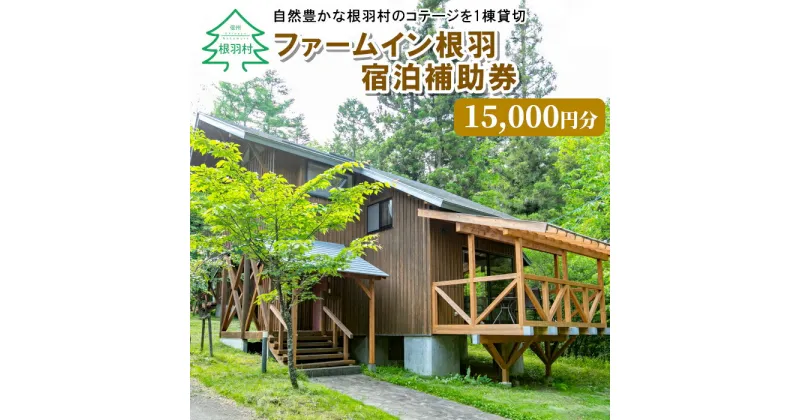 【ふるさと納税】コテージを一棟貸切！ファームイン根羽 宿泊補助券 (15,000円分) コテージ 旅行 宿泊 50000円 50,000円 五万円